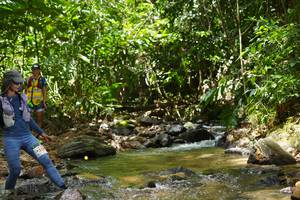 BIB: 517
                            <button type="button" onclick="openModal(21849347)" class="btn btn-primary btn-sm float-right btn-popup" data-toggle="modal" data-target=".modal-high-quality">
                        <i class="fas fa-shopping-cart"></i> Add to Cart
                    </button>
                                            <button type="button" onclick="isThisMe(21849347, true)" class="btn btn-success btn-sm float-right btn-popup btn-isme hidden" data-toggle="tooltip" data-placement="bottom" title="นี่คือรูปของคุณใช่ไหม คลิกที่นี่เพื่อเอาเข้าอัลบั้ม">
                        <i class="fas fa-plus"></i> Add to album
                    </button>
                    <button type="button" onclick="isThisMe(21849347, false)" class="btn btn-warning btn-sm float-right btn-popup btn-isnotme hidden">
                        <i class="fas fa-ban"></i> Remove from album
                    </button>